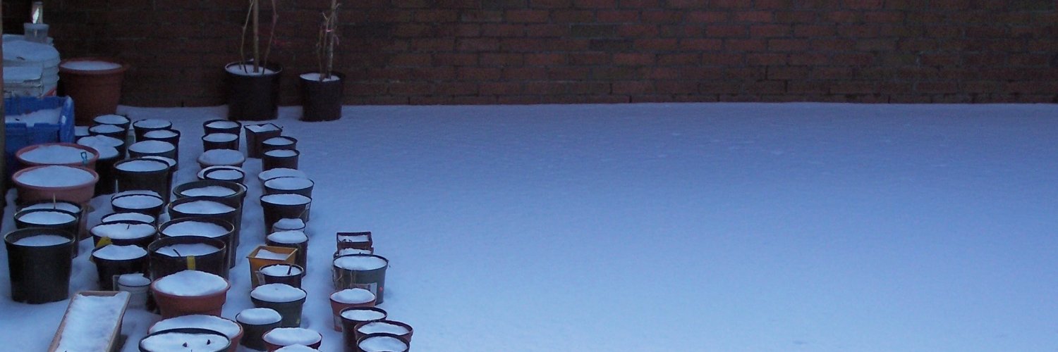 Pancho Matorras banner