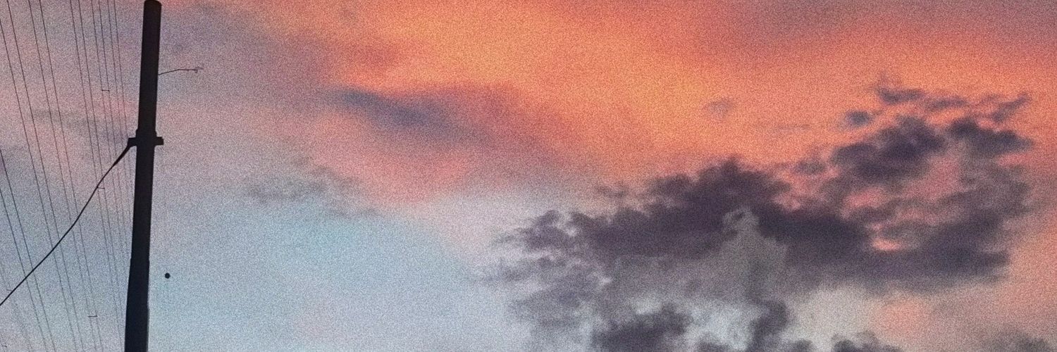 huishannlim's profile banner image