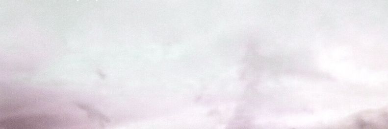 laurapatrao's profile banner image