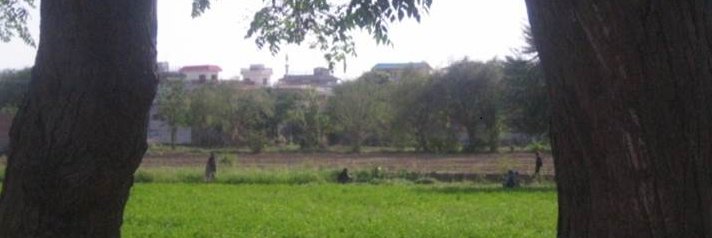 Marta Bivand Erdal banner