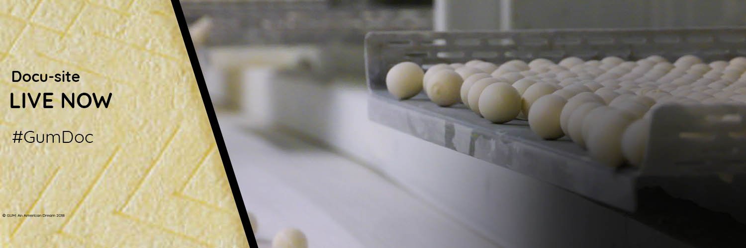 GumDocumentary's profile banner image