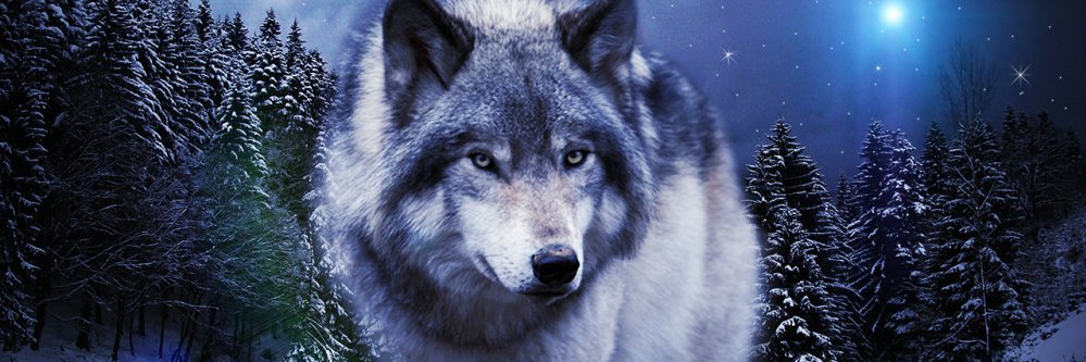 CyConta's profile banner image