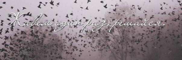 TanyaFanaceva's profile banner image