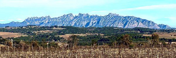 PujolBonell Profile Banner