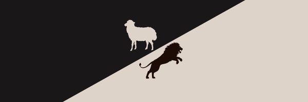 chris__spinelli Profile Banner