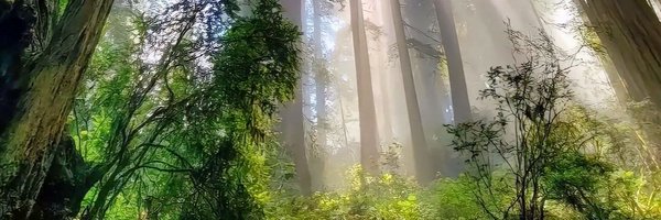 pengafruh Profile Banner