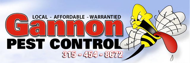 gannonpest's profile banner image