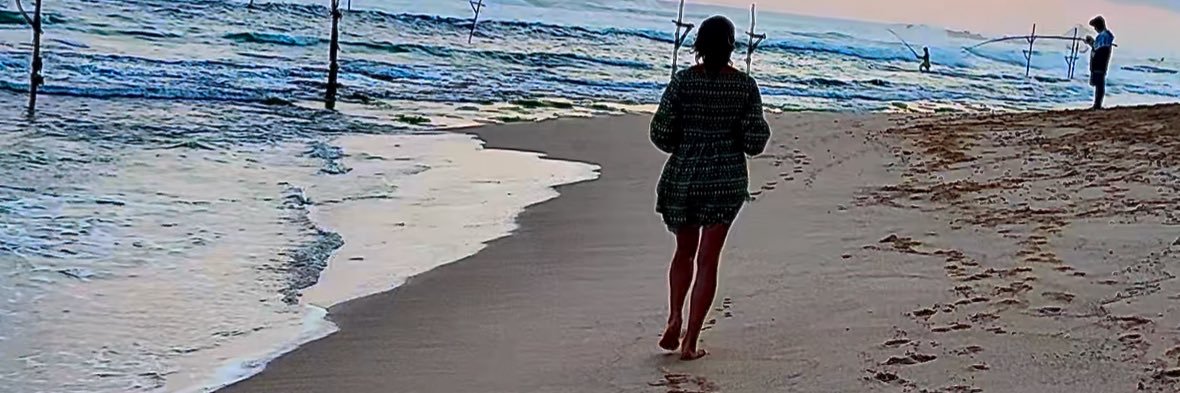 @annalisap banner