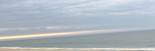 beachturtlesea Profile Banner