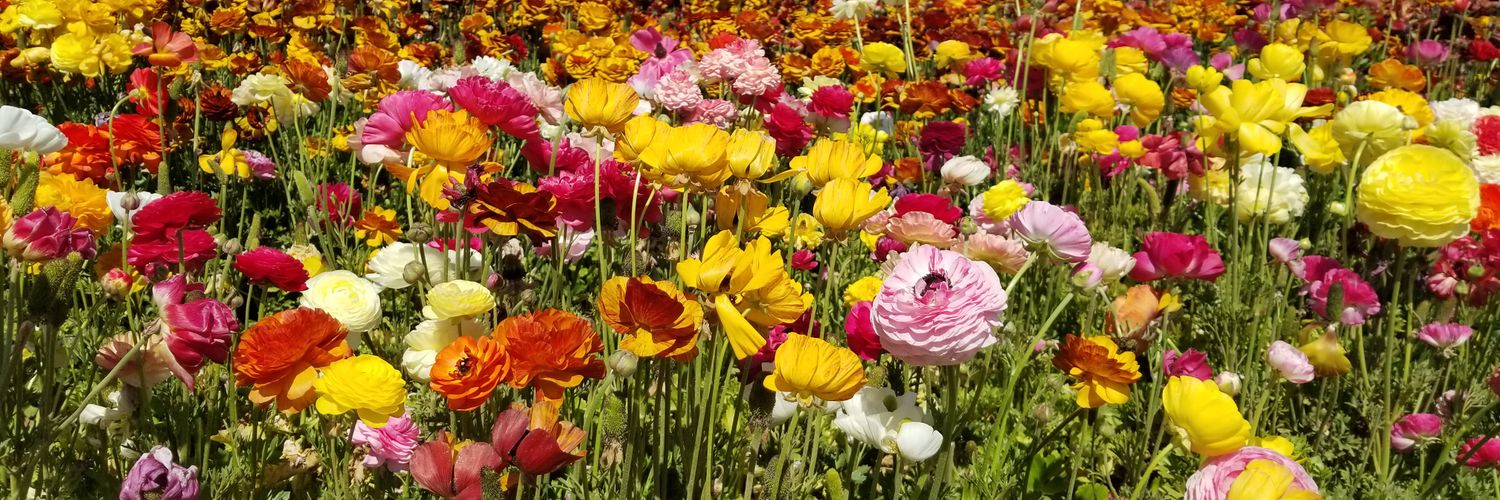 Kate Sleeth, PhD banner