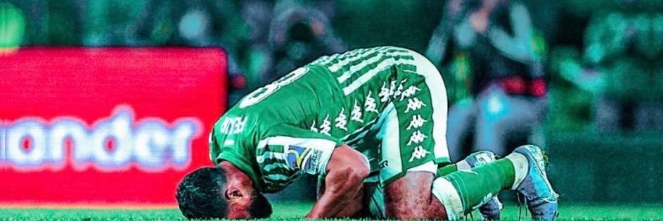 Borja del valle banner