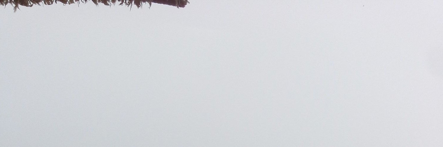 Hamileyken's profile banner image