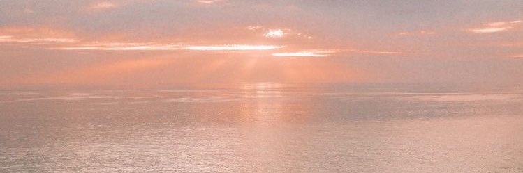 nerears__'s profile banner image