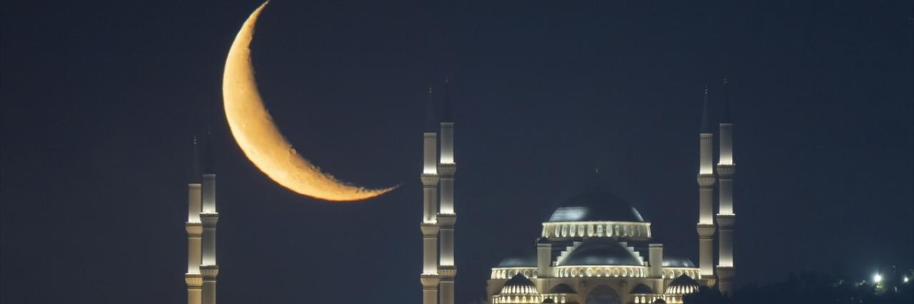 TayyipShnn35's profile banner image