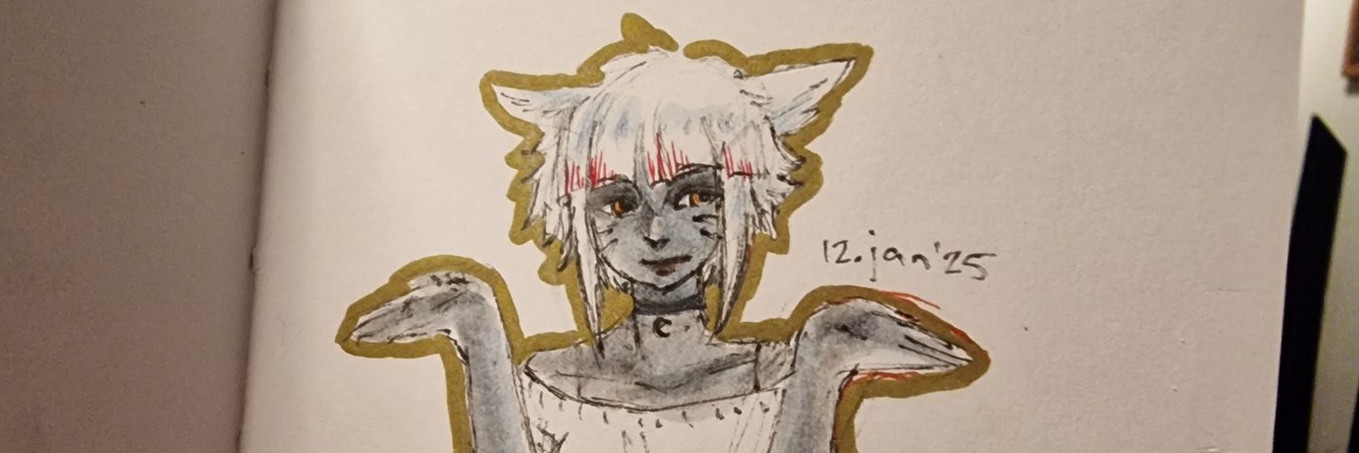 PocketArmor's profile banner image