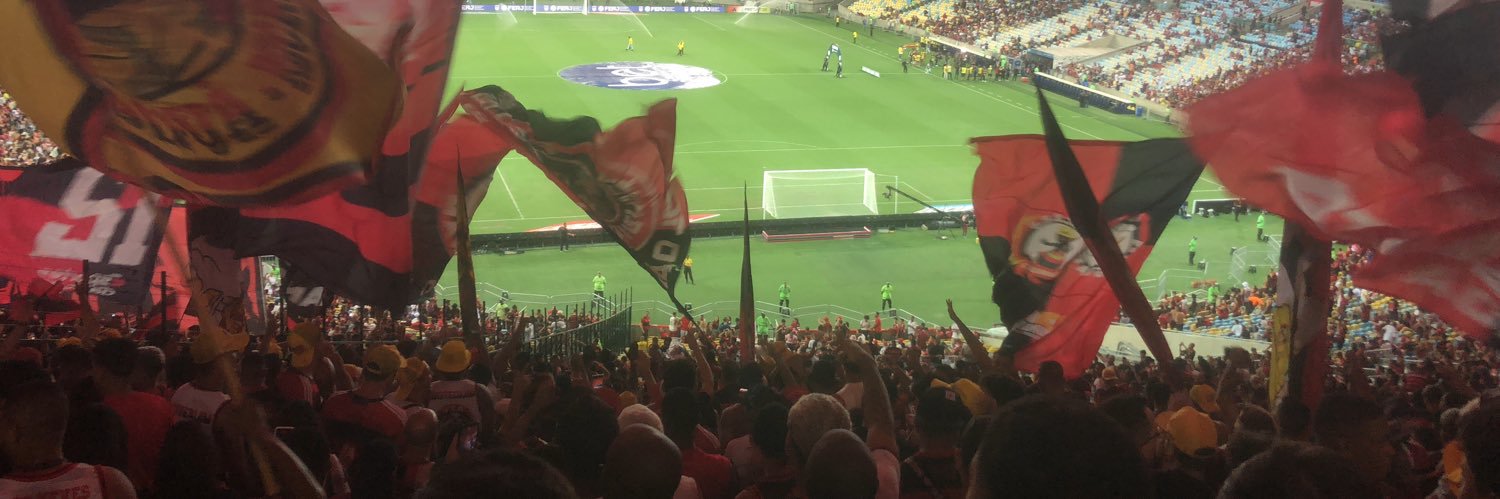 Gelsin Enea e Tetra da América banner