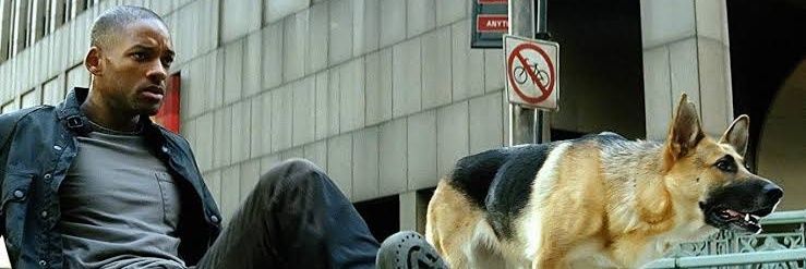 ardakassab's profile banner image