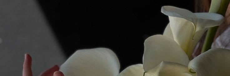 Loudxxx's profile banner image