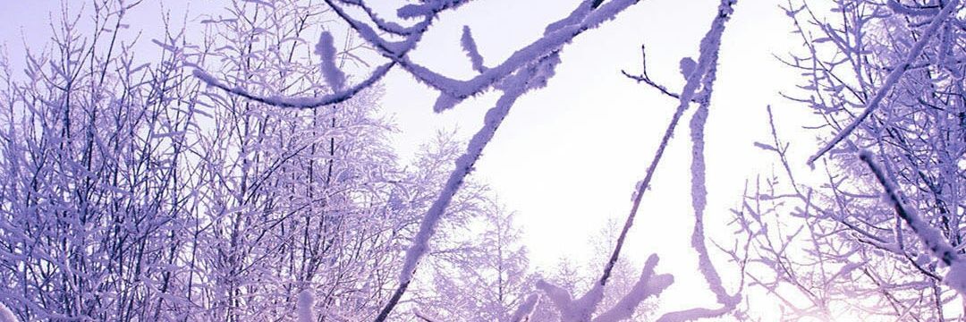 Rrmbrsh banner