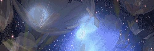 sunshinerae__'s profile banner image