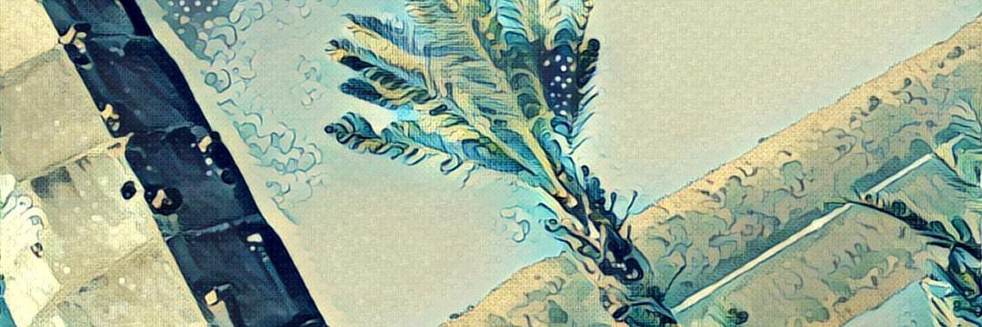 vigneshsarma's profile banner image
