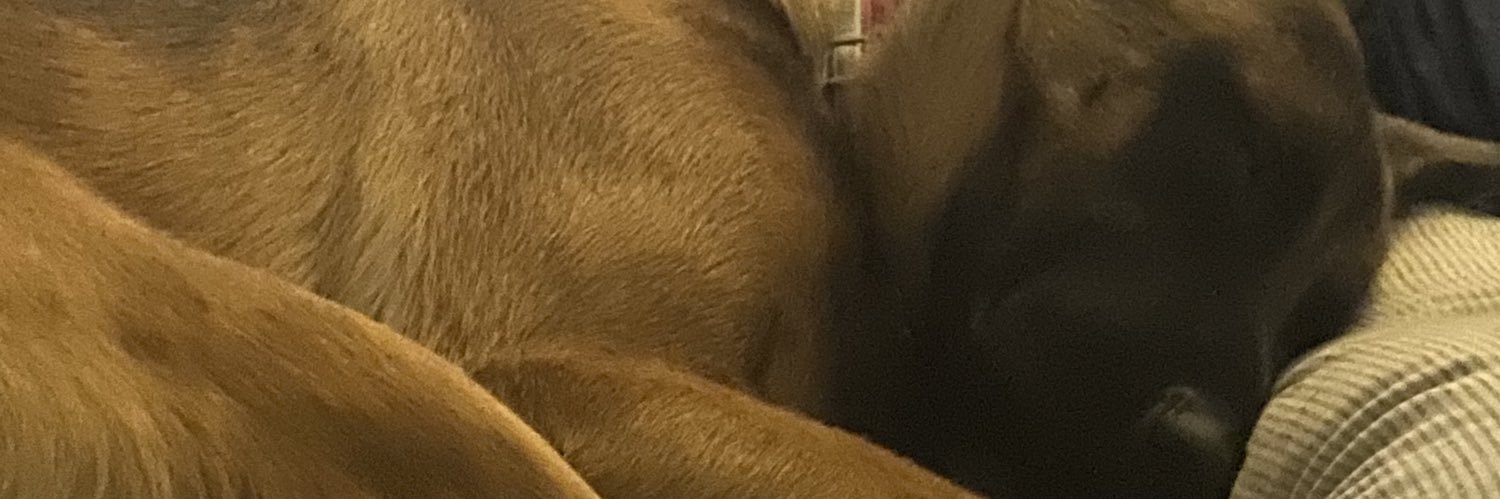 Ianbredeweg77's profile banner image