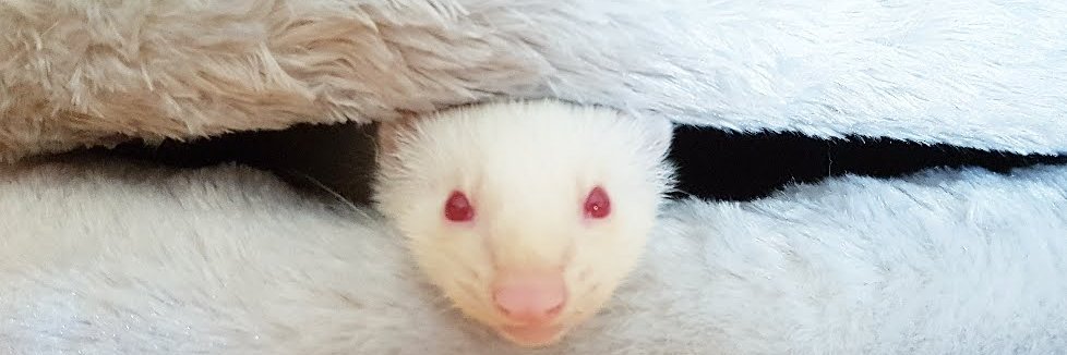 AravindEth's profile banner image