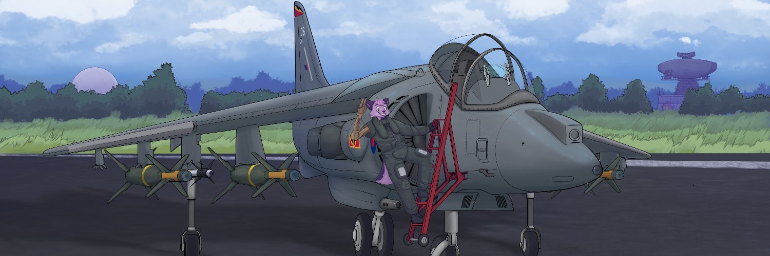 Tomaz banner