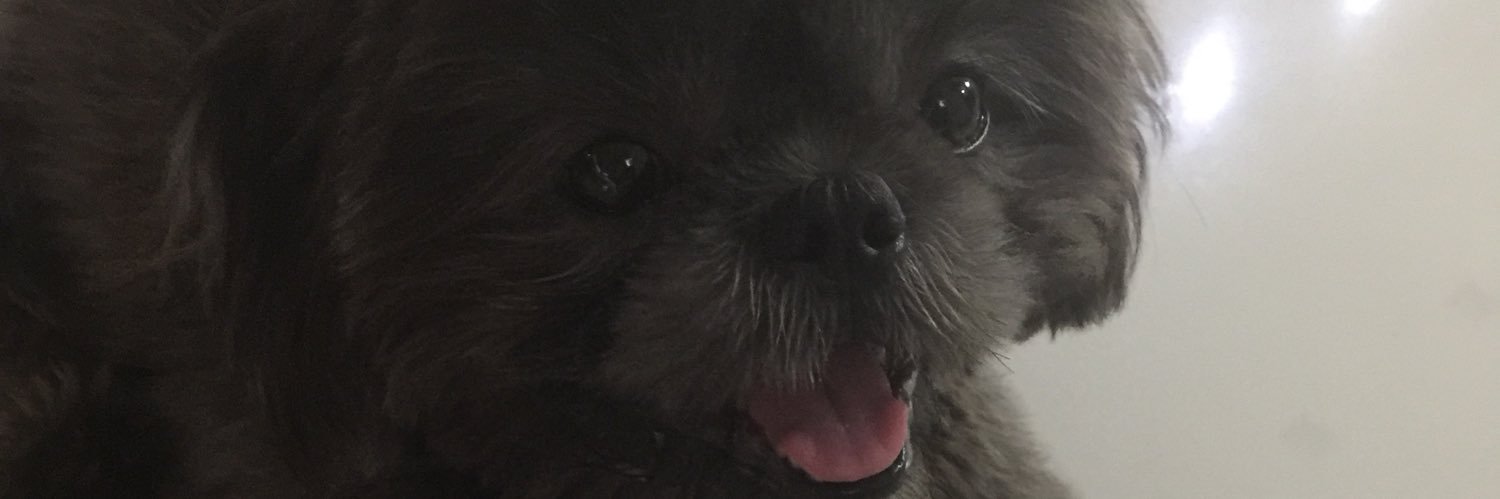 guevaravito5's profile banner image