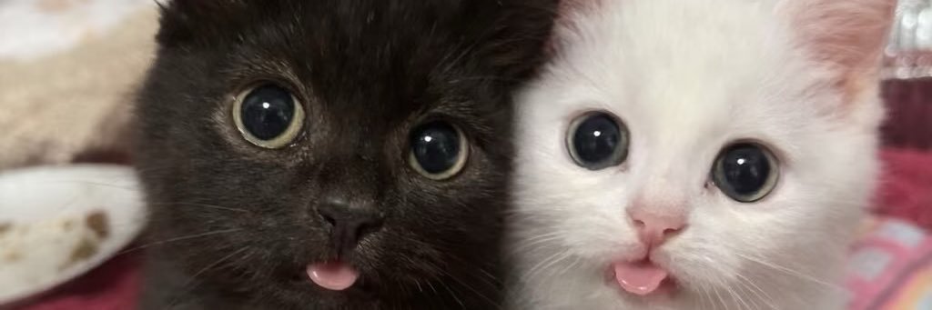 moonB96's profile banner image