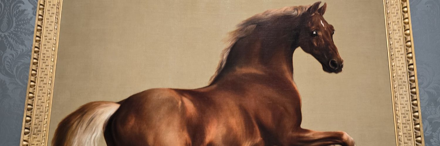 NadTass's profile banner image