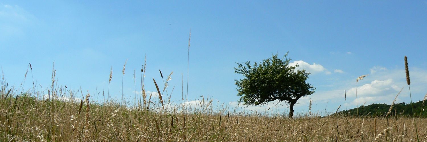 JanVanHaver's profile banner image