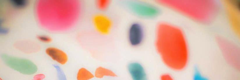 Natalia Montaldi banner