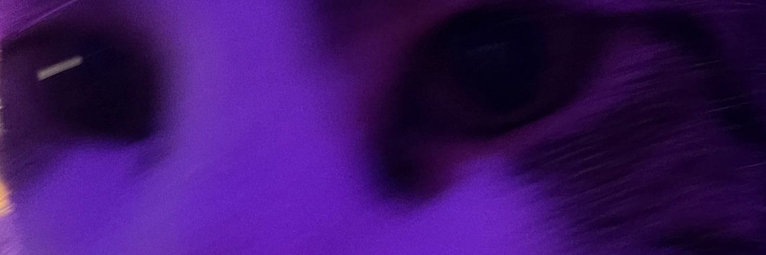 bobashart's profile banner image
