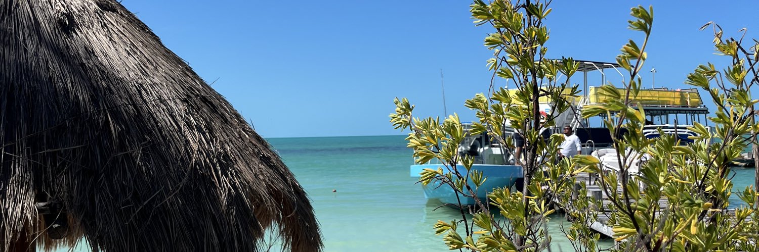 eloisebillard29's profile banner image