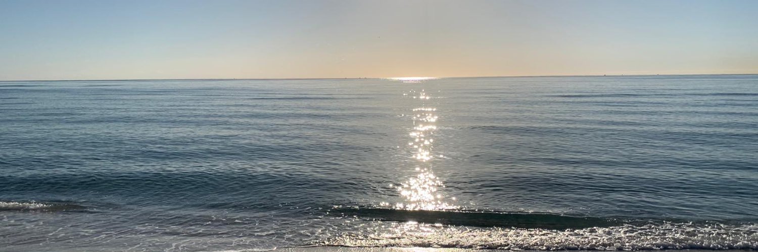 Adele Piccone banner