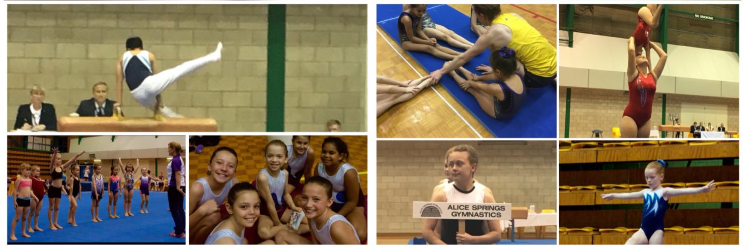 Gymnastics NT banner