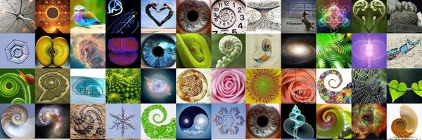 SamiParkerxxx Profile Banner