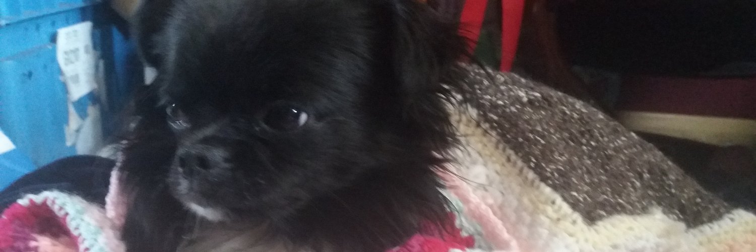 CharlieAlexies's profile banner image