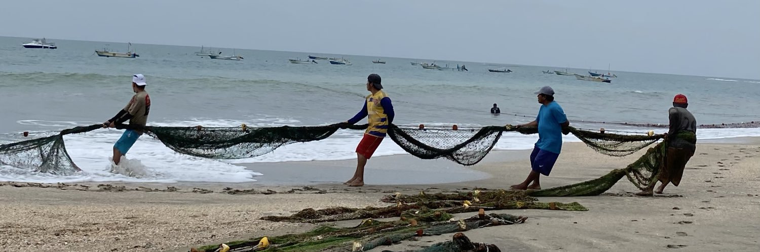 Luis Alvarado banner