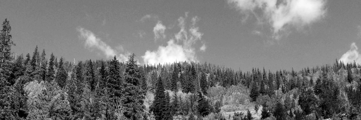 moore_delaney's profile banner image