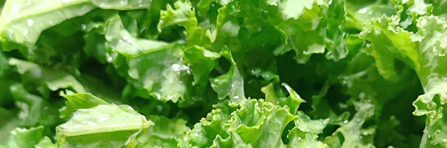 RandomWithVegan's profile banner image