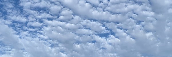 JohnnyGoray Profile Banner