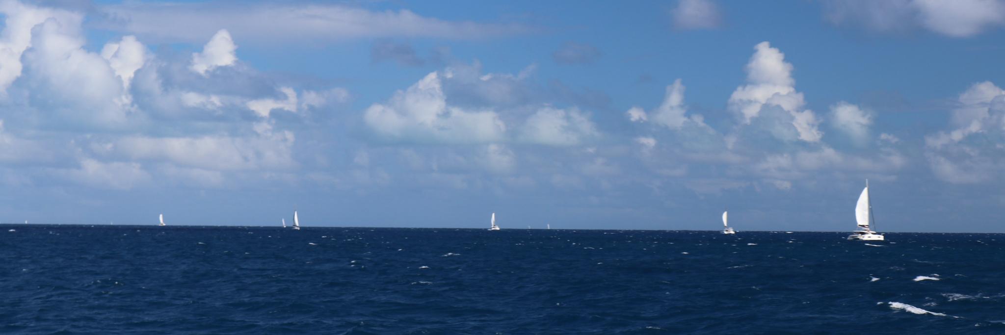doug chang banner