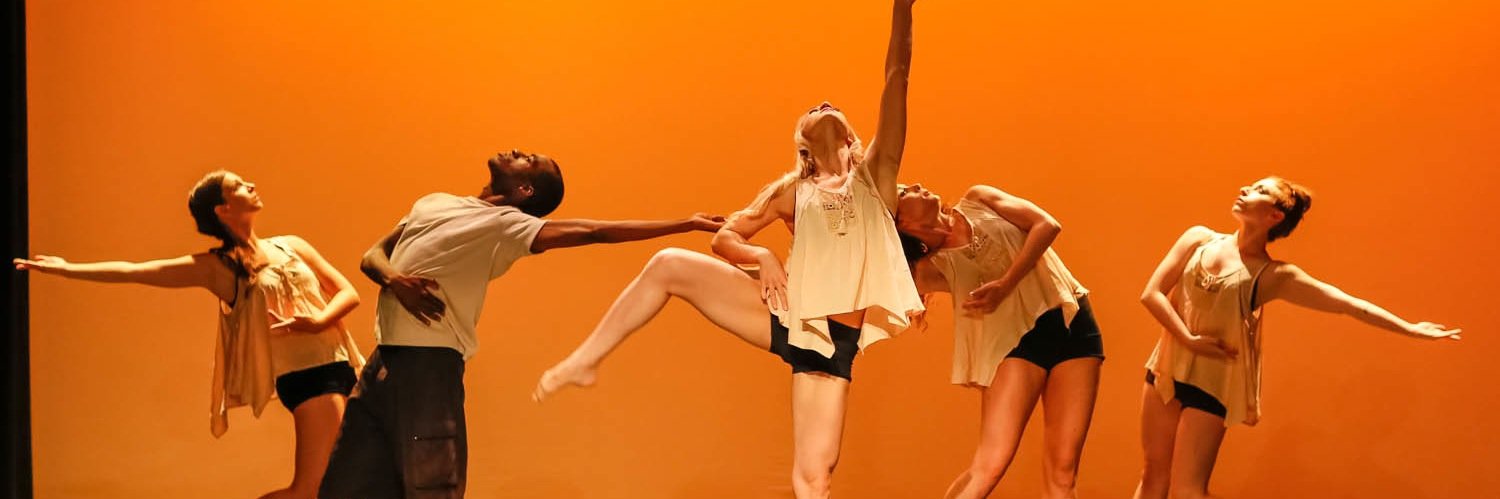 HartPulseDance's profile banner image