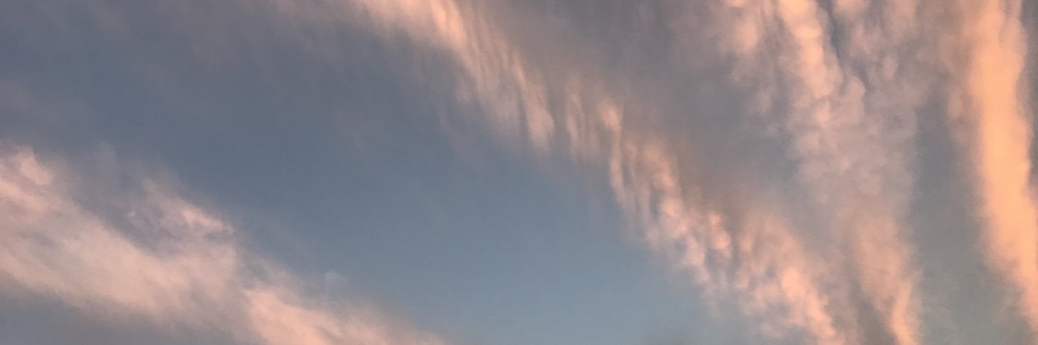 nelson_wom's profile banner image