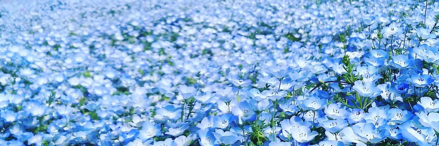 fujma's profile banner image