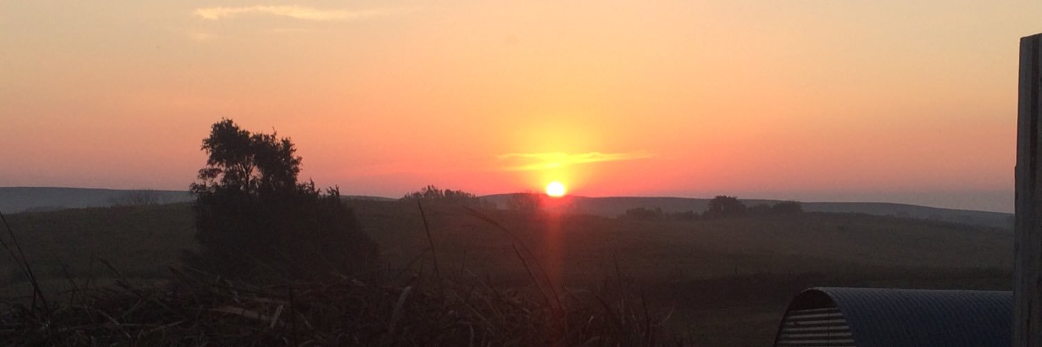 KentKehler's profile banner image
