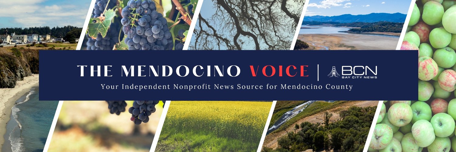 TheMendoVoice's profile banner image