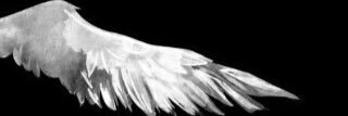 llrx21's profile banner image